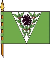 OzaCesuras Vexillology Wiki Fandom