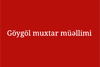 Flag of Goygol