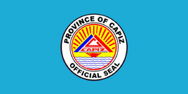 Flag of  Capiz Province