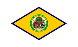 Flag of Dover, Delaware