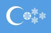 Flag of Uyghur Antarctica