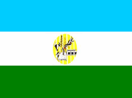 Flag of  Baralt Municipality