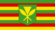 Kanaka Maoli flag