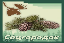 Flag of  Sotsgorodok