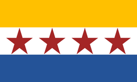 Flag of  Guajira Municipality