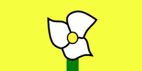 Sego lily state flower on gold background to symbolize a bright future (by my 9-year old daughter)