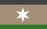 Béchar Province flag proposal 2 by RandomContentGuy, Aug 2025.