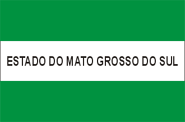 Unofficial flag used in Mato Grosso do Sul, 1977–1979.