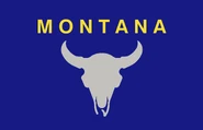 MT Flag.jpg (324 KB) small tweak to existing flag using bison skull symbol in place of state seal. by Zawsi