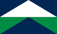 this flag redesign takes the colors from the cascadia flag but instead of a simple tricolor its supposed to look like mount rainier over puget sound