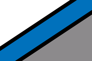 Design by Flag Mashup Bot. The blue stripe represents the Detroit River. Gray represents chrome, alluding to Detroit's status as the Motor City. White represents snow, as it snows a lot in Detroit. Black represents the citizenry of Detroit. The basic design also resembles an overhead bird's eye view of the Detroit River basin, with white being Wayne County, Michigan and gray being Windsor, Canada. Coincidentally, white, black, gray, and blue are the colors of the Detroit Lions football team.