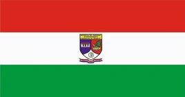 Flag of  Ñeembucú