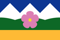 Proposal for a flag for Alberta. By Qaz Jan 2020 (details)