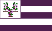 Grapevines in the canton with five purple and white stripes to represent Connecticut's admission as fifth state to the United States.