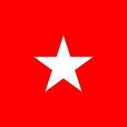 Flag of the Free State of Counani 1904–1912.
