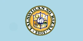 Flag of  Rizal