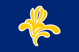 Previous flag