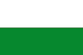 Flag of  Styria