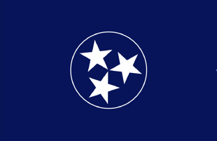 Part of series of designs for state flags, all in blue and white. (Posted by Ken Morton)