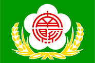 Flag of Tainan County until 2010.