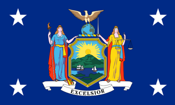 Standard of the Governor of New York