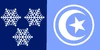 Flag of Tunisian Antarctica