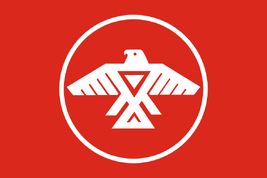 Variant of the Anishinaabe flag