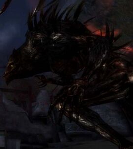 Werewolf, Dragon Age Wiki