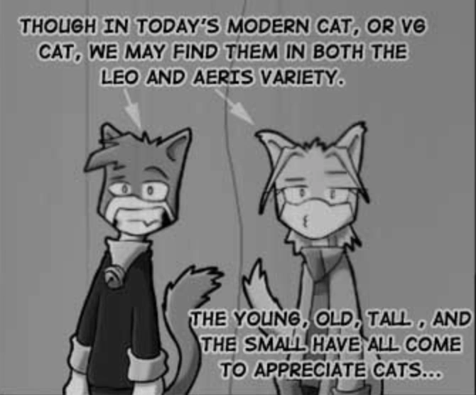 Yes, That's Their Names! VG Cats Wiki Fandom
