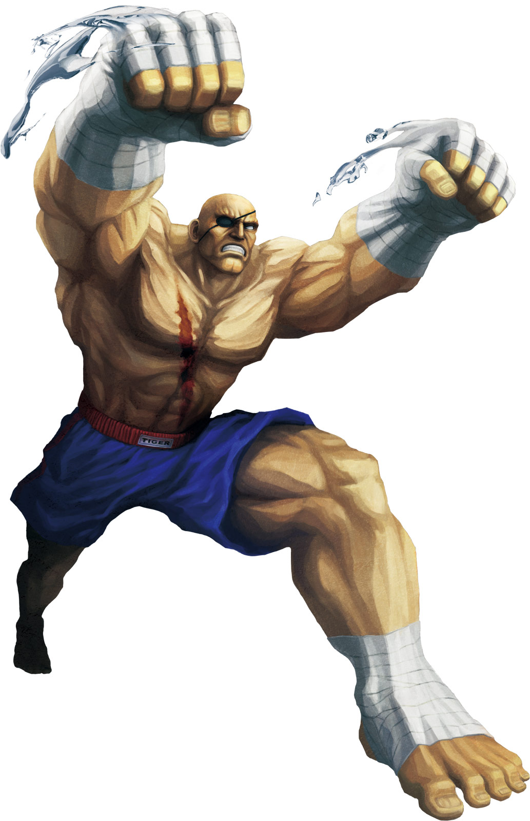 Muay Thai, Street Fighter Wiki