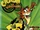 Crash Twinsanity