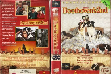 ミスター オリンピア VHS 1999年 ラスベガス 動作確認済 ミスター オリンピア VHS 1999年 ラスベガス 動作確認済