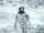 Interstellar