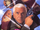 Naked Gun 33 1/3: The Final Insult