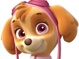 Skye (PAW Patrol)