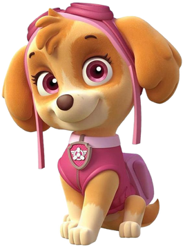 Sky pup patrol store