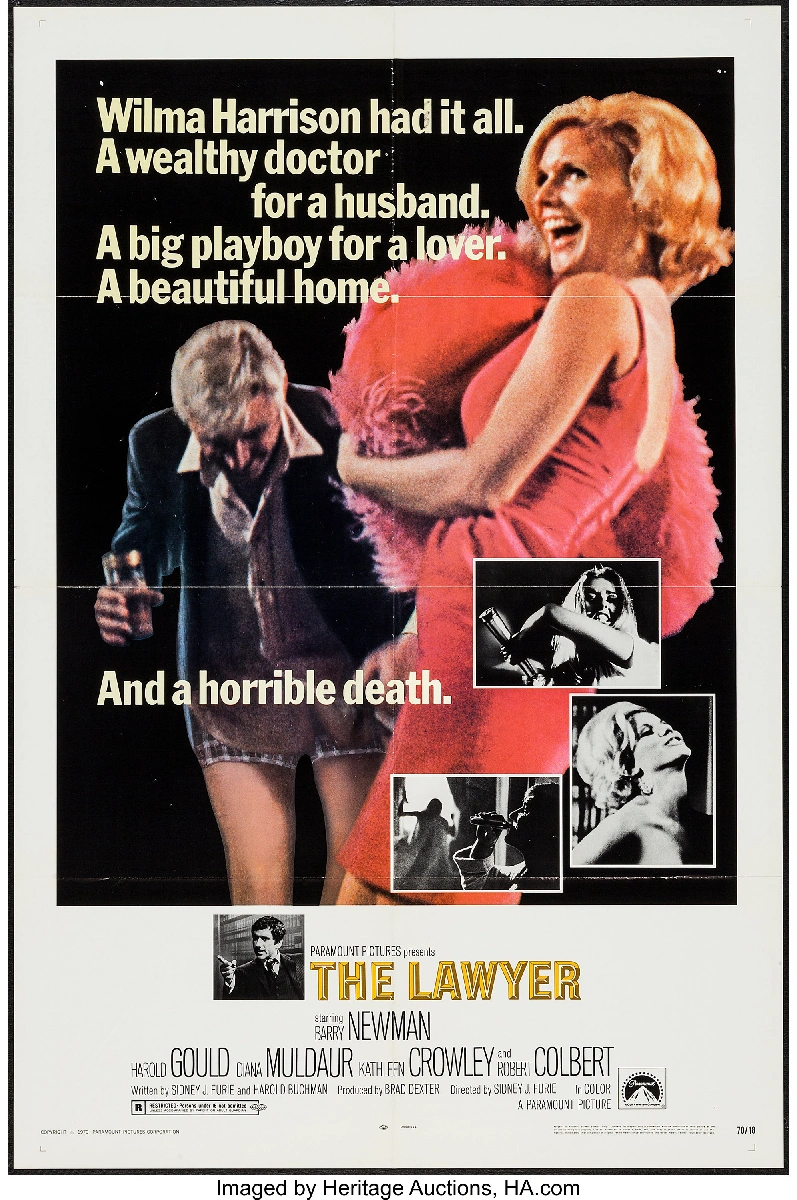 The Lawyer Paramount Global Wiki Fandom