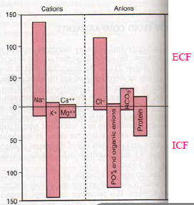 Extracellular enviornmnet.png