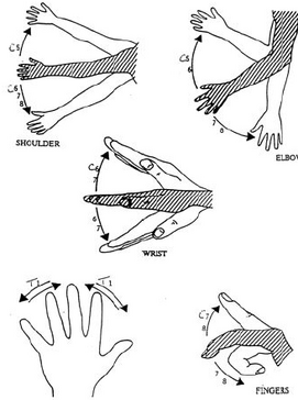 Nerve action