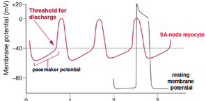 Conduction