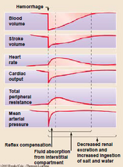 Haemorrhage.png
