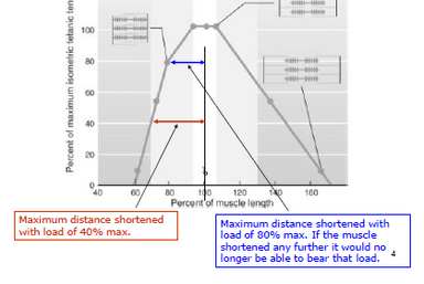 Shorten.png