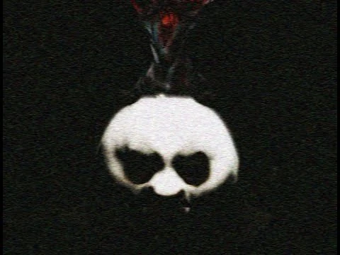 Kung Fu Panda's Greatest Villain | VibingLeaf Wiki | Fandom