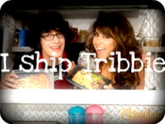 Ishiptribbie