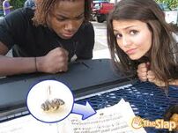 Bee.jpg