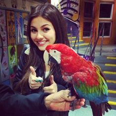 Larry the Bird.jpg