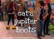 Catboots.jpg (56 KB)