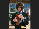 Socks & Violins