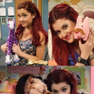 Cat S Stuffed Animals Victorious Wiki Fandom
