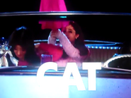 Cat opening an umbrella in the car as it starts to rain